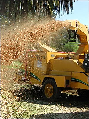 Tree ChippingService Adelaide