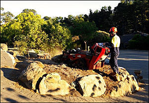 Stump Grinding Adelaide